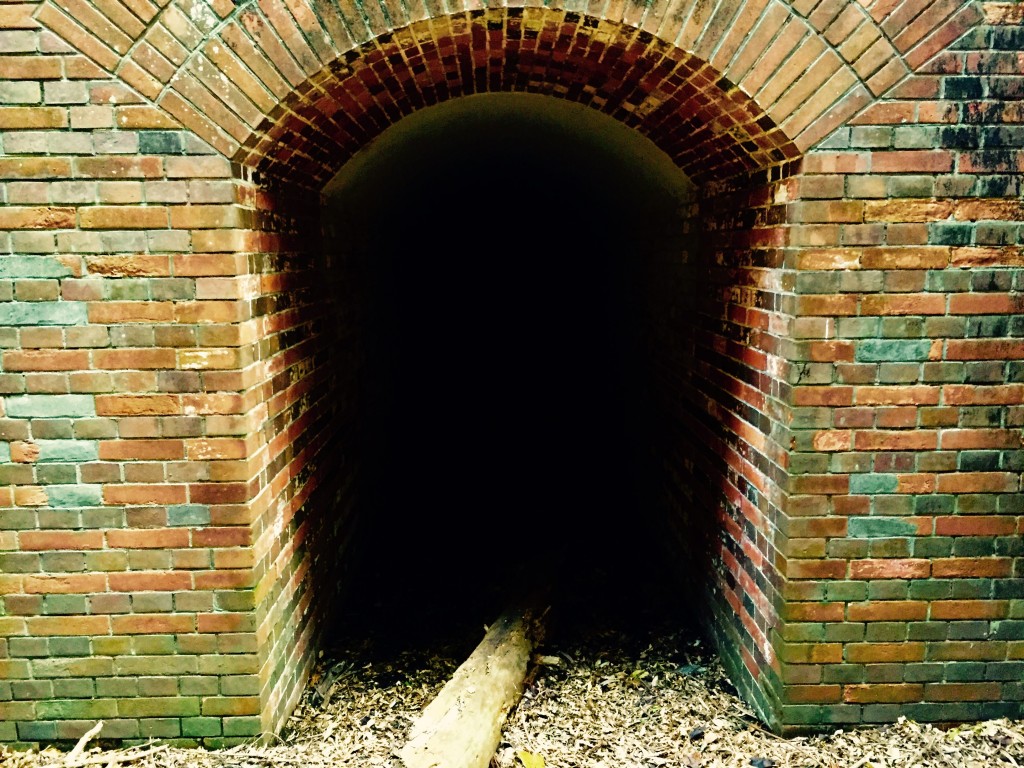 ラピュタの島 友ヶ島 第4砲台跡のトンネル