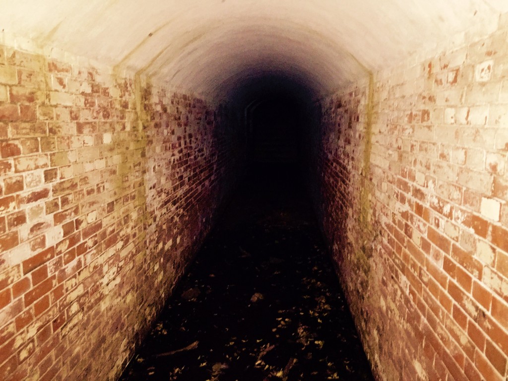 ラピュタの島 友ヶ島 第4砲台跡のトンネル